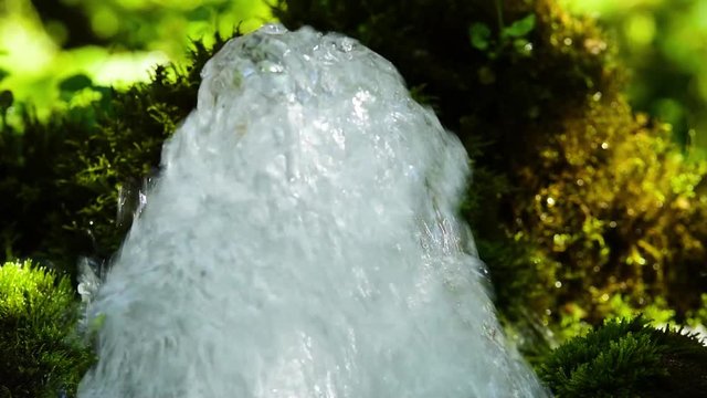 羊蹄のふきだし湧水