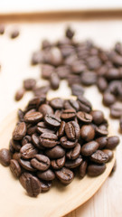 Coffee bean seed raw material for coffee drink