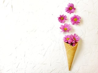 flowers chrysanthemum in a waffle cone on a white textured background