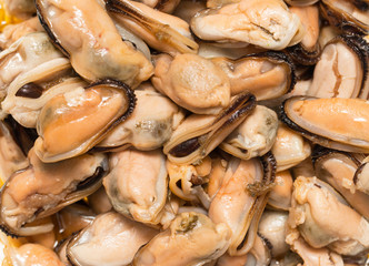 cooked mussels on a white background