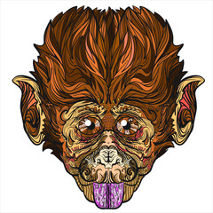 Vector beautiful monkey with big eyes. Color version.