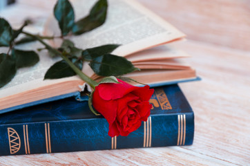 Old books and red rose, traditional gift for Sant Jordi, the Saint Georges Day. It is Catalunya's...