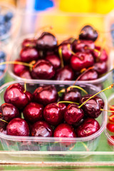 Fresh boxes of assorted berries on display at farmers market. 