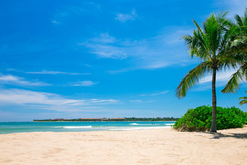 Fototapeta premium beach and tropical sea