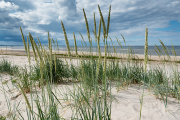 Sandy beach at gulf of Riga, Baltic sea.