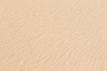 sand pattern of a beach in the summer