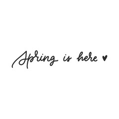 Spring is here artistic hand lettering. Vector illustration