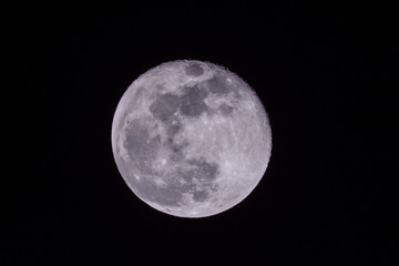 Naklejka na ściany i meble Full moon in a sky at night