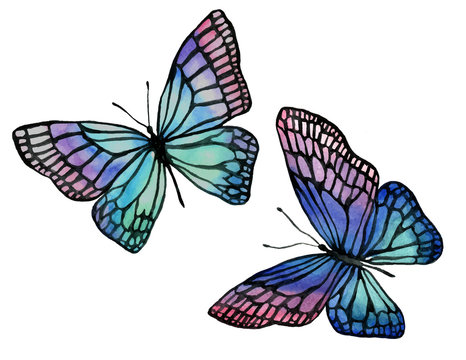 Illustration of watercolor butterflies with a black outline.