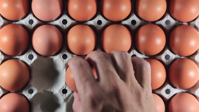 Top view of hands holding eggs and are arranged into panels paper. Arrange the eggs into the paper panel. Selection of egg quality and fresh from the farm. 