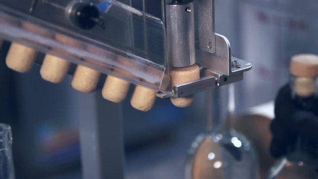 Alcohol bottles being corked at distillery during bottling process