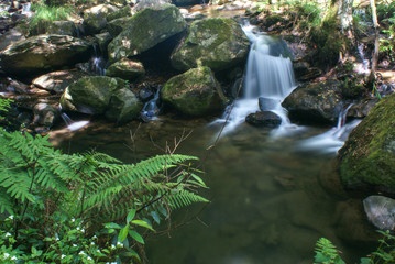Fototapeta premium Sever do Vouga, Portugal