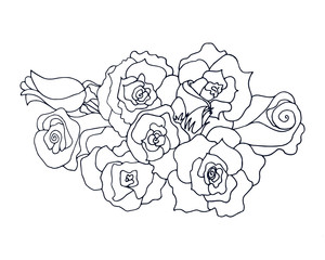 Garden roses outline