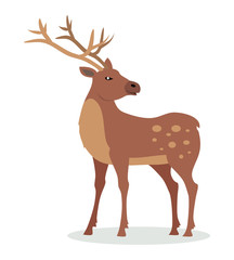 Deer with Horns Vector Illustration in Flat Design