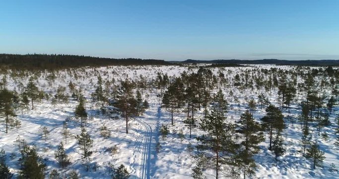 Winter swamp, Cinema 4k aerial closeup view over small trees on a huge bog, on a cold winter day, in Torronsuo national park, Kanta-hame, Finland
