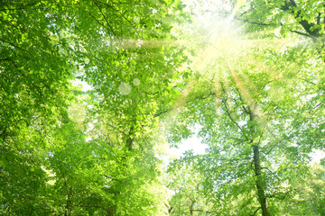 Obraz premium Powiat 549