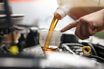 Profecional car mechanic changing motor oil in automobile engine at maintenance repair service station in a car workshop.
