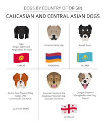 Dogs by country of origin. Caucasian and Central Asian dog breeds. Infographic template
