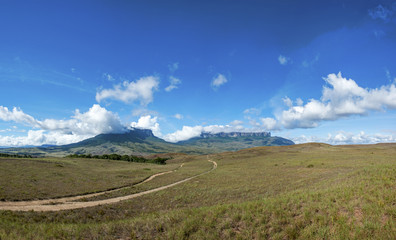 Fototapeta na wymiar Kukenan tepui and Mount Roraima