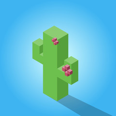 icon blooming cactus in isometric style.