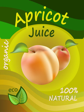Apricot juice template packaging design vector illustration.   