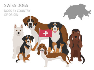 Dogs by country of origin. Swiss dog breeds. Infographic template