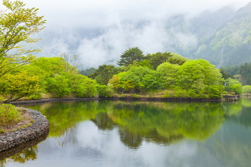 新緑の田貫湖、静岡県富士宮市にて