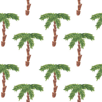 Watercolor palm tree hand painted isolated on white  background
