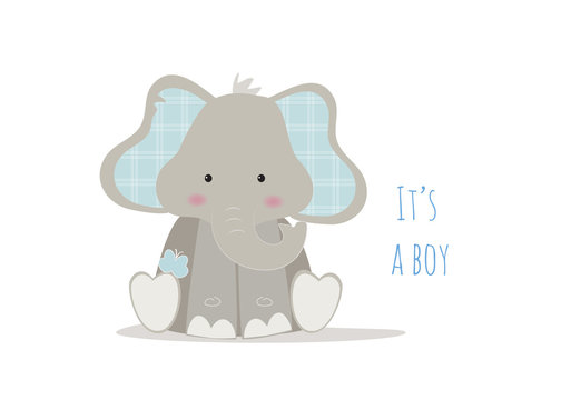 nascita bambino, baby elephant