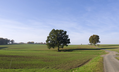 Fototapeta na wymiar Loebichau / Germany: Gently rolling countryside in Eastern Thuringia on a sunny day at the end of October