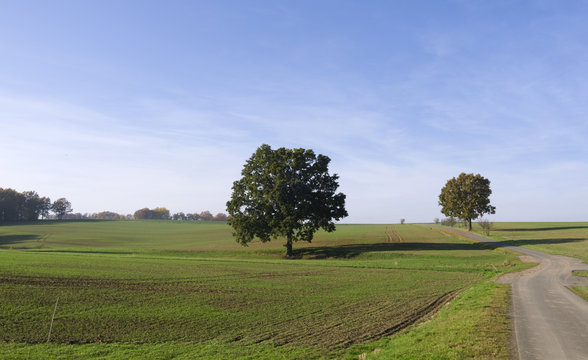 Loebichau / Germany: Gently rolling countryside in Eastern Thuringia on a sunny day at the end of October