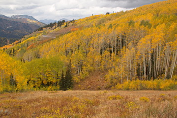 Fototapeta premium Beautiful autumn at Big Cottonwood Canyon Road near Salt Lake City in Utah in the USA 