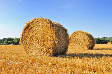 bale of hay in a field under blue sky 