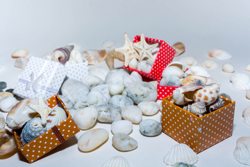 Gifts and seashells