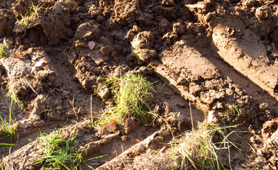 Fototapeta na wymiar Agriculture: Tractor tyre track in freshly plowed arable soil in Eastern Thuringia