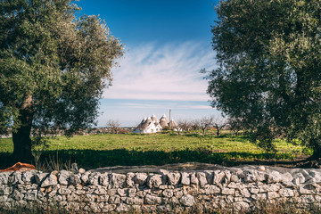 Landscapes of Puglia