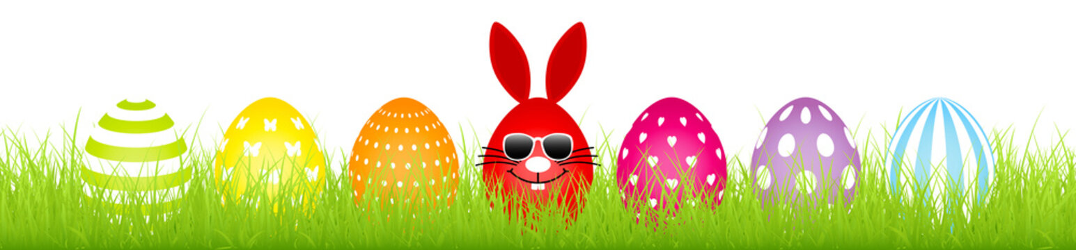 Banner Meadow Egg Bunny Sunglasses & Easter Egg White Pattern Color