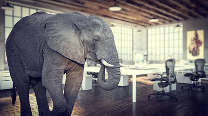 Fotobehang grote olifant in een modern kantoor, concept van onopgeloste en vermeden problemen. © tiero