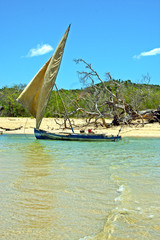 Obraz premium pirogue beach seaweed in indian madagascar