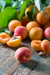 Fototapeta na wymiar Juicy fresh apricots.
