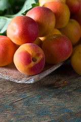 Juicy fresh apricots.