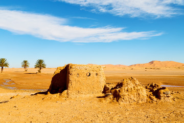 sahara      africa in morocco  palm the old contruction and  historical village