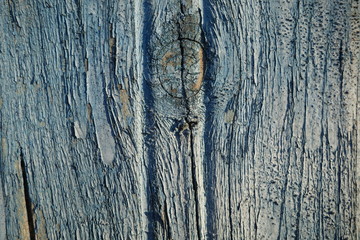 Obraz premium The texture of old wood. Weathered piece of wood. Background of old wood.