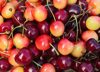 Juicy sweet cherries.