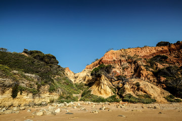 Landscape with Cliff and Dunes at the Beach near Albufeira Portugal in Summer