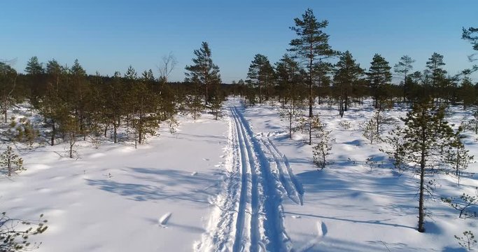 Winter swamp, Cinema 4k aerial view over ski trails and small trees in a bog, on a cold winter day, in Torronsuo national park, Kanta-hame, Finland