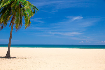 tropical beach in southern part of Sri Lanka in sunny day.