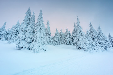 Obraz premium Winter in Moutains 