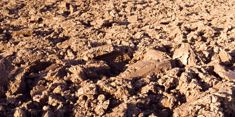 Agriculture: Freshly plowed arable soil in Eastern Thuringia