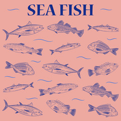 A set of popular sea fish swimming in a different direction. Tuna, cod, dorado, salmon, sea bass, mackerel. The inscription "Sea fish". vector illustration